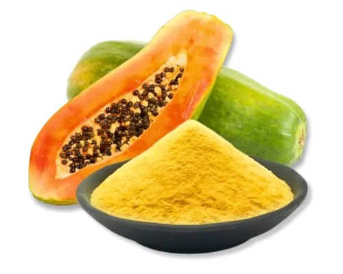 Papaya Powder